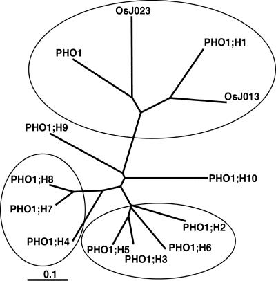 Figure 3.