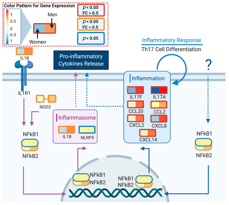 Figure 6