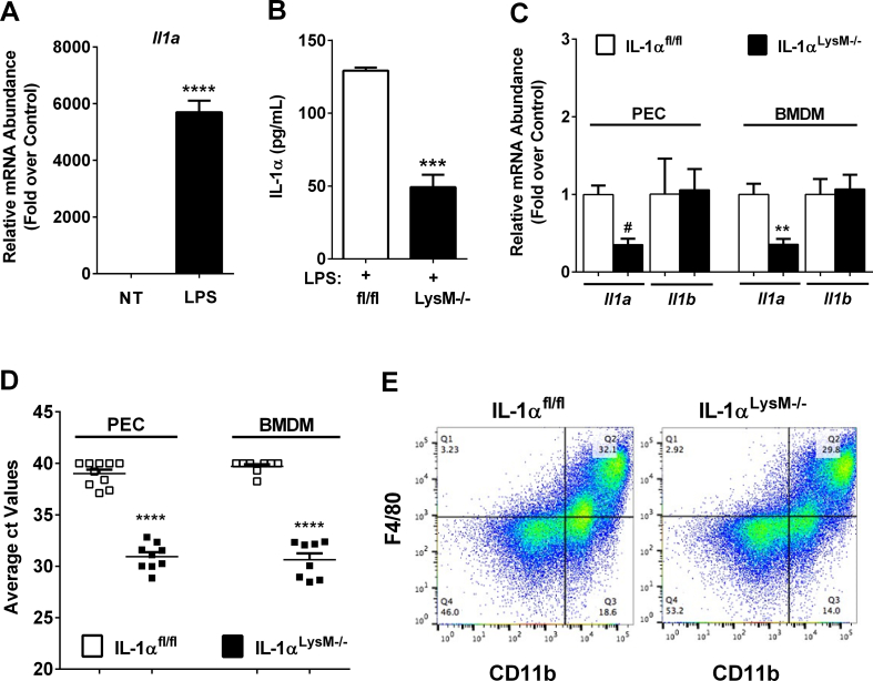 Figure 6