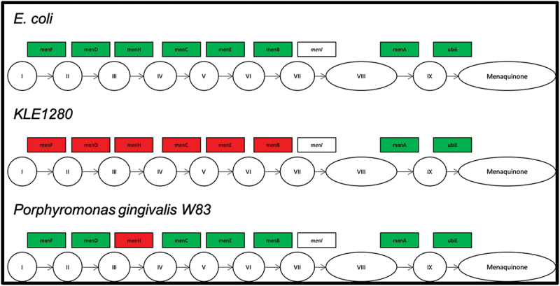 Figure 7.