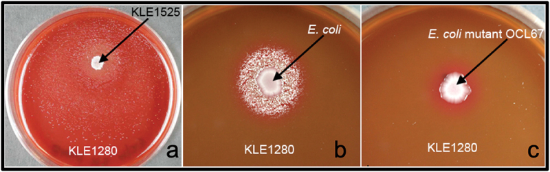 Figure 3.