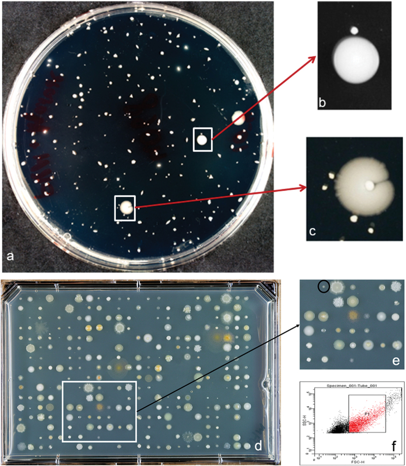 Figure 1.