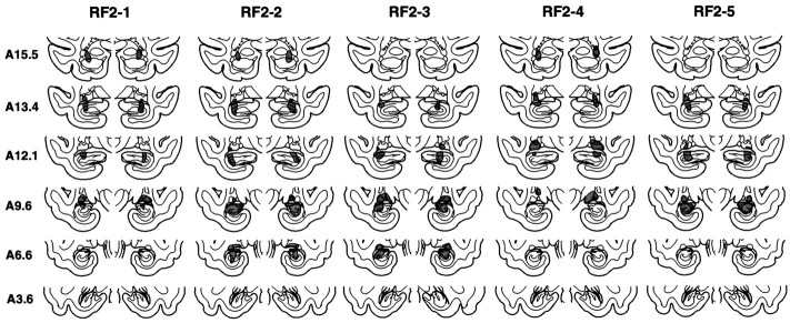 Fig. 5.