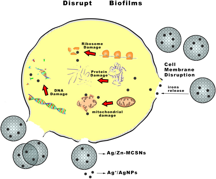 Figure 10