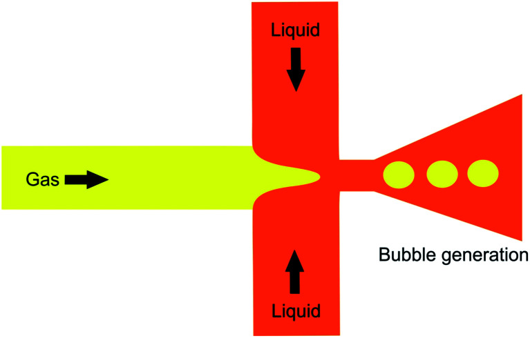 Fig. 21