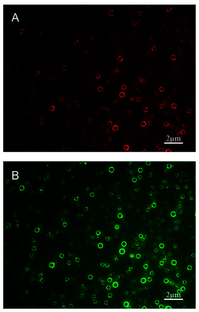 Fig. 8