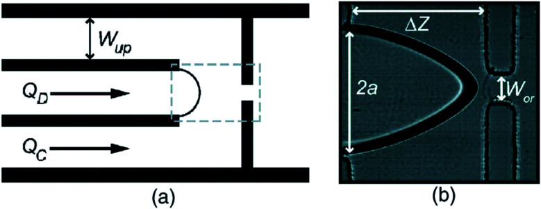 Fig. 22