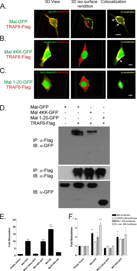 FIGURE 2.