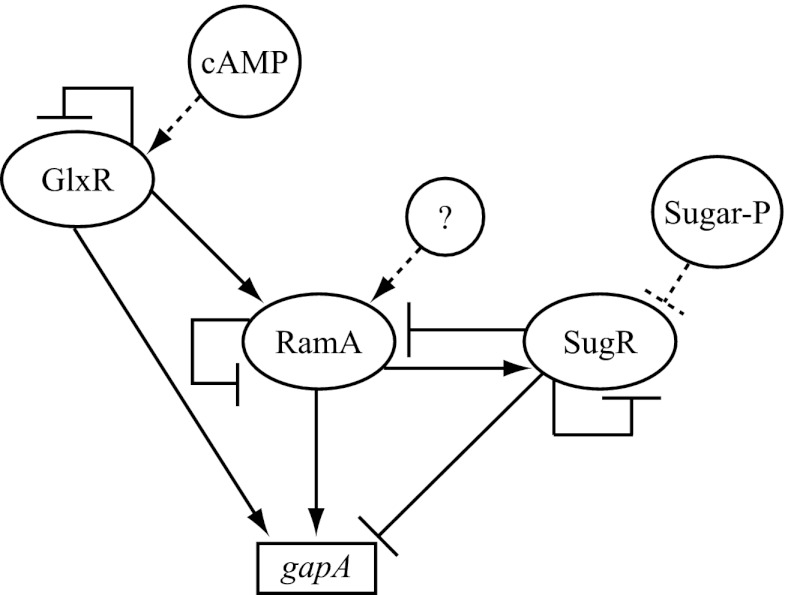 Fig 6