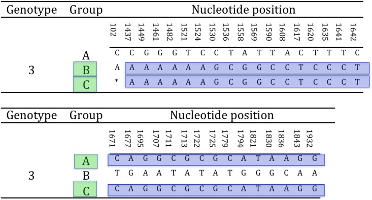 Fig 7