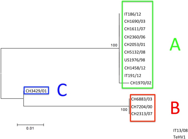 Fig 10