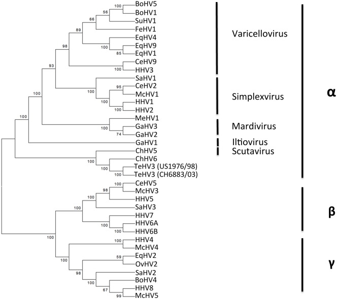 Fig 11