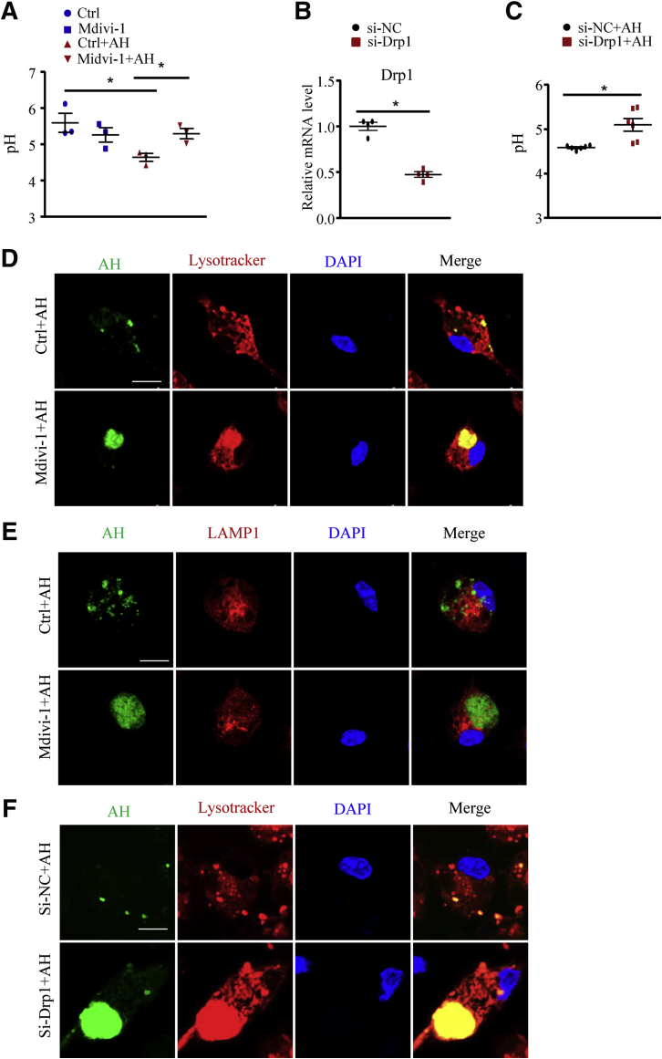 Figure 12