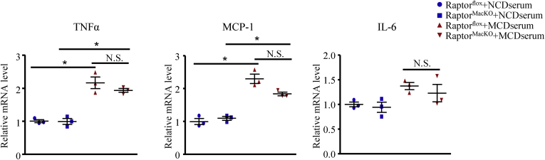 Figure 5