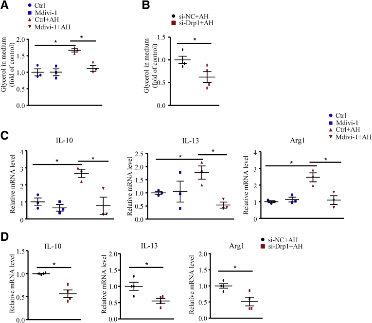 Figure 13