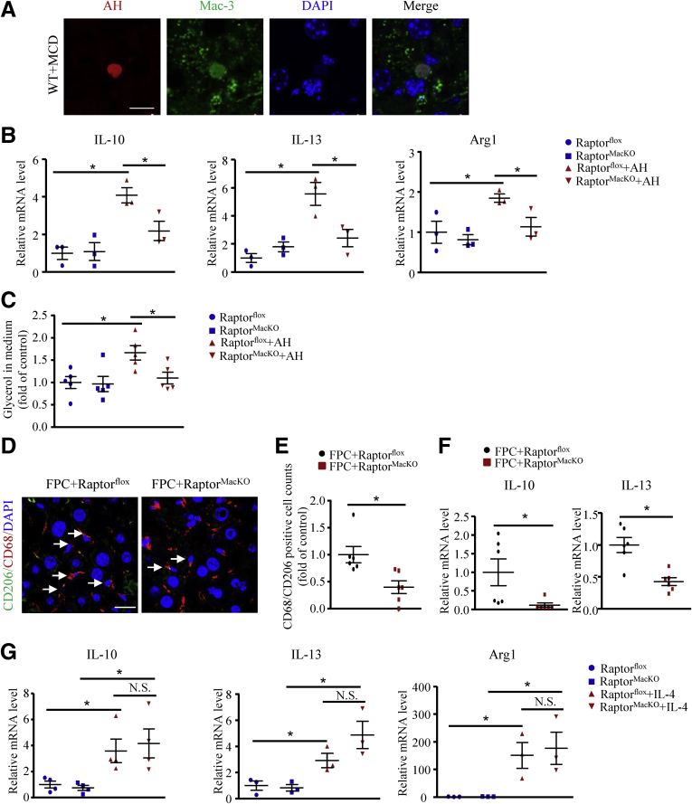 Figure 6