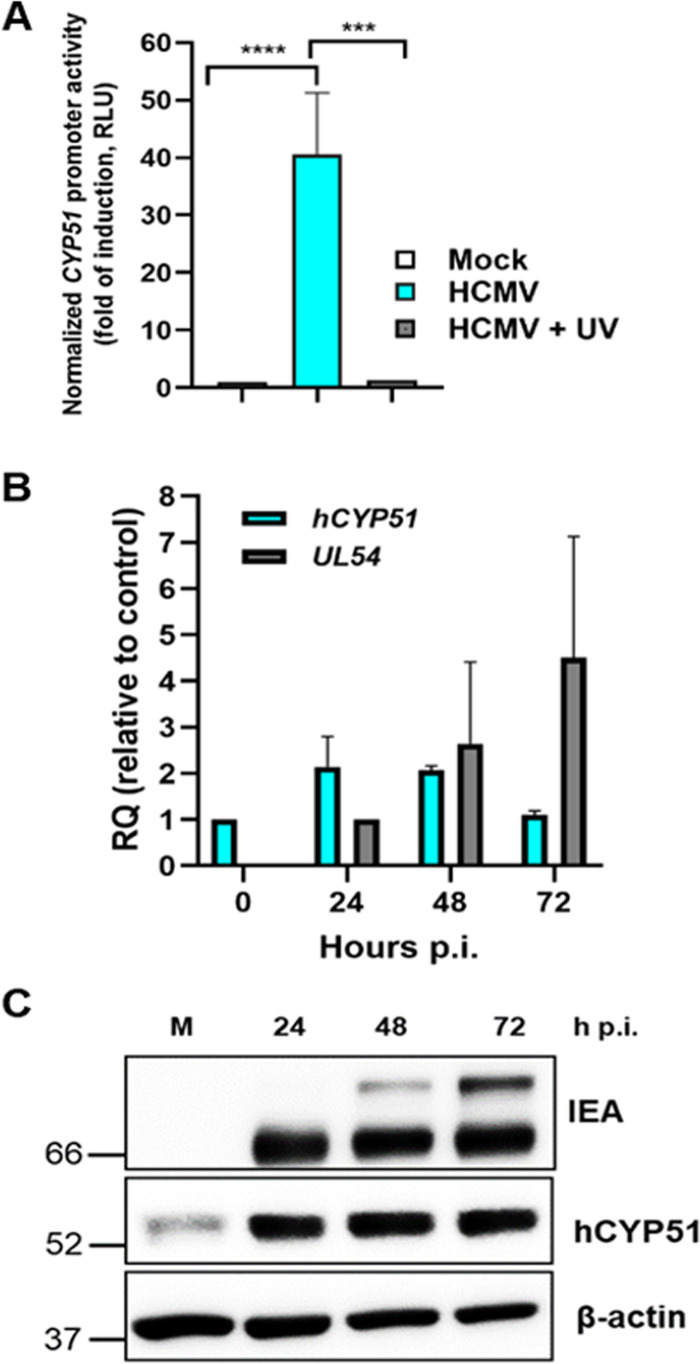 FIG 4