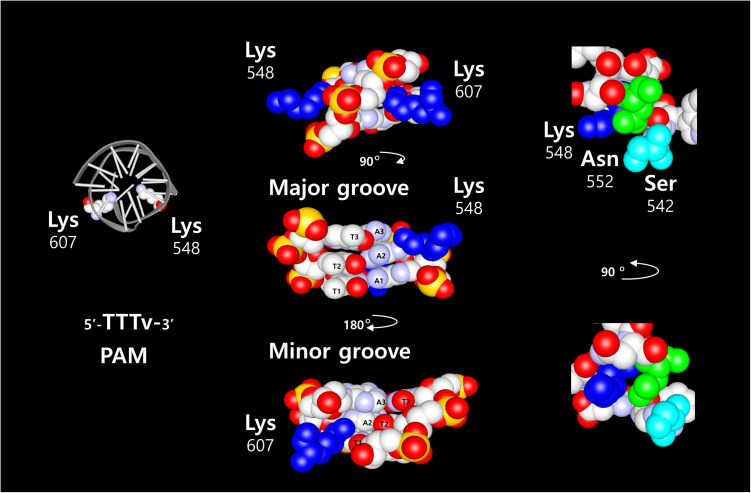 FIGURE 1