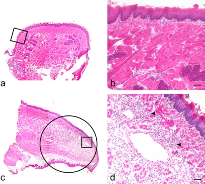 Fig. 2