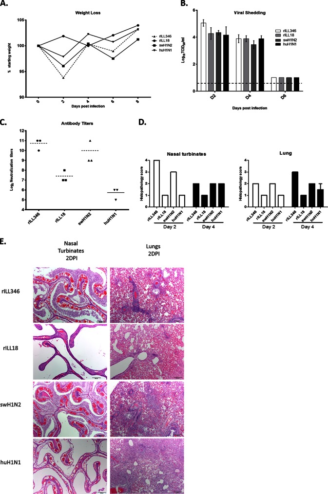 FIG 3