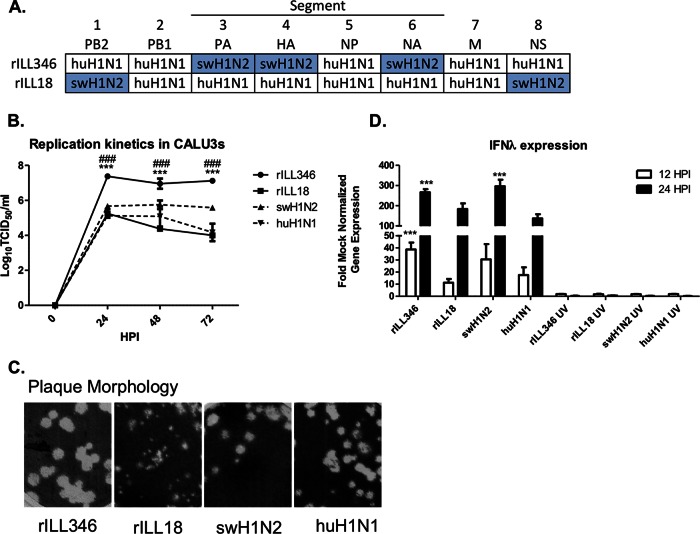 FIG 2