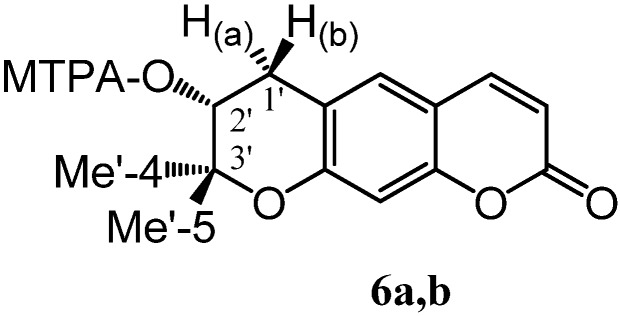 graphic file with name molecules-14-00939-g008.jpg