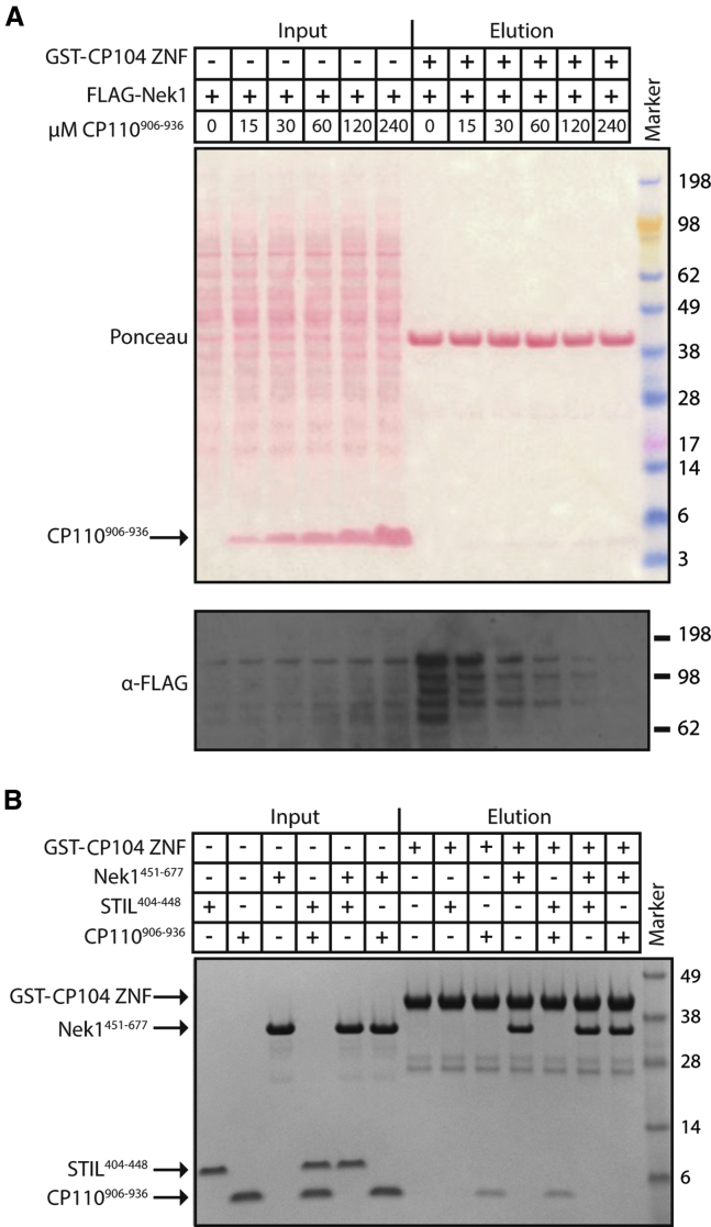 Figure 3