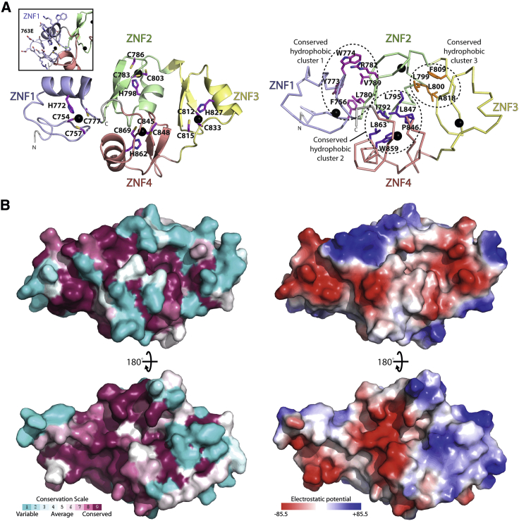 Figure 4