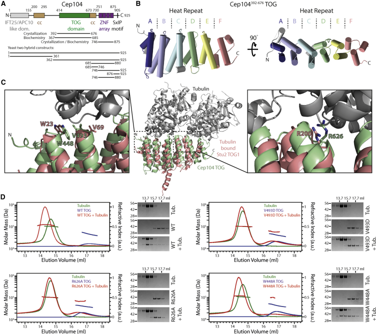 Figure 1