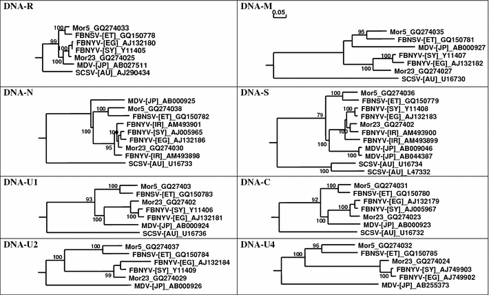 Fig. 3