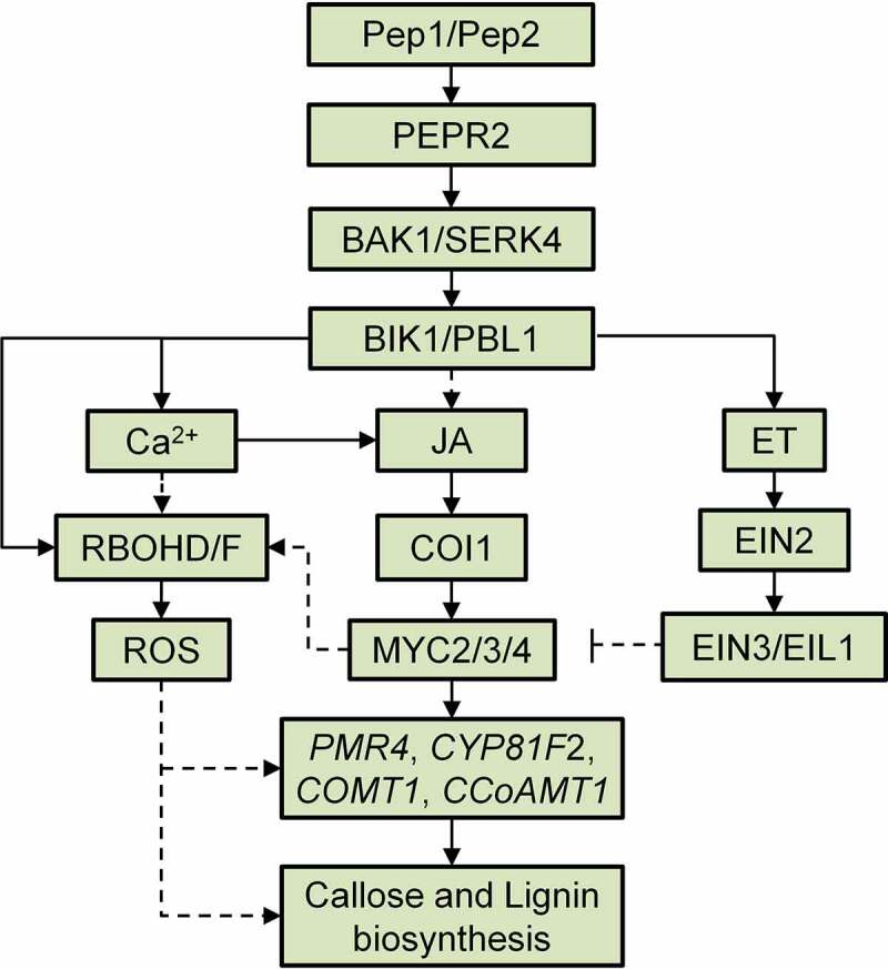 Figure 7.