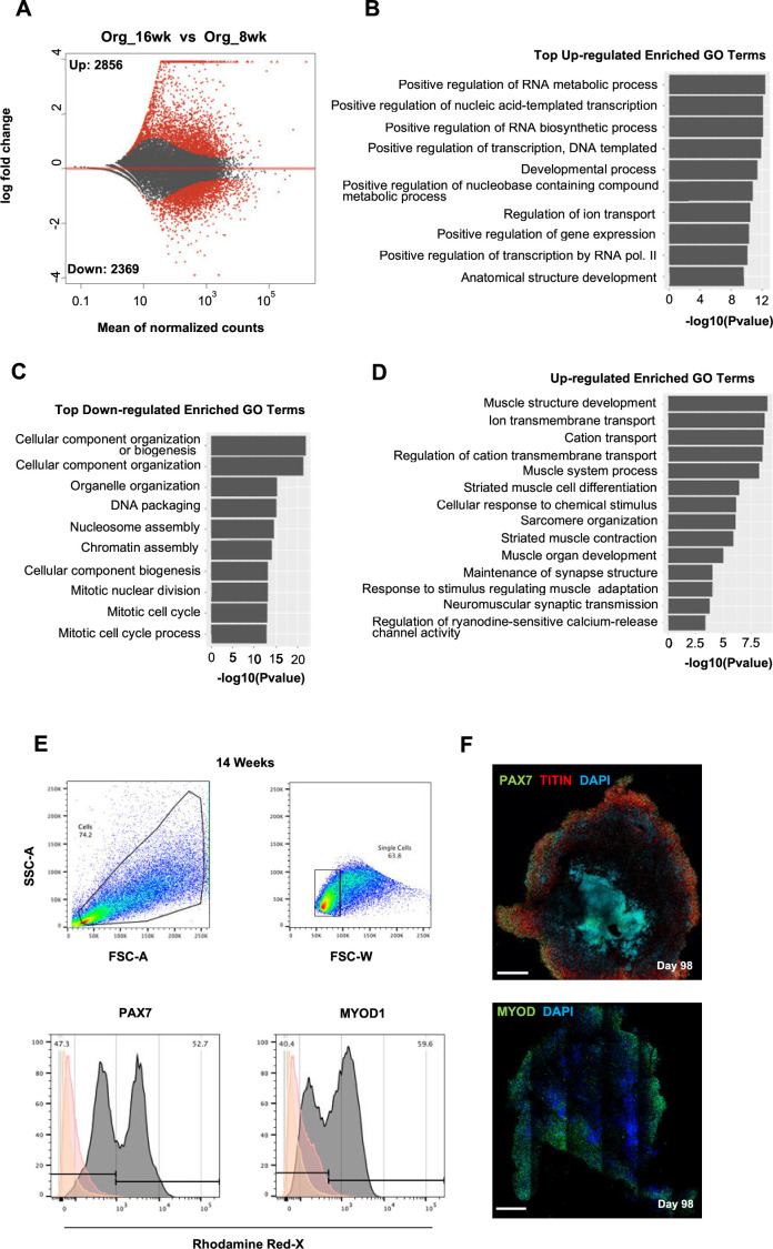 Figure 3—figure supplement 2.