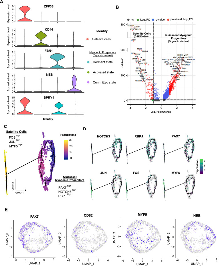 Figure 4—figure supplement 4.