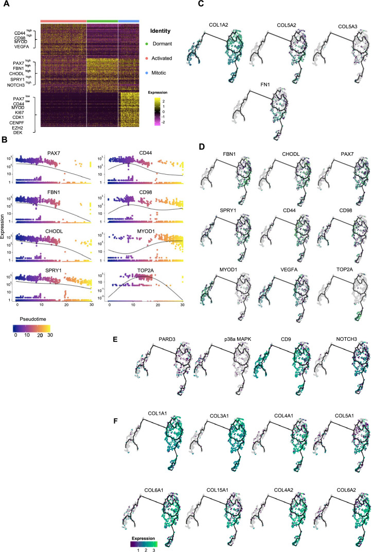 Figure 4—figure supplement 2.