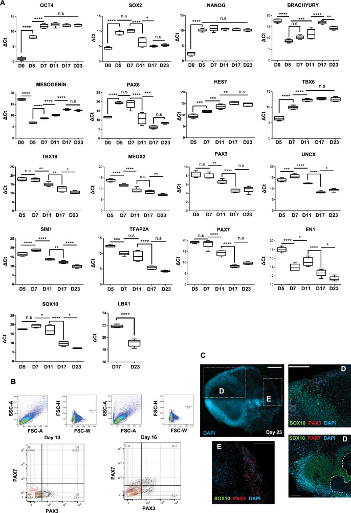 Figure 1—figure supplement 1.