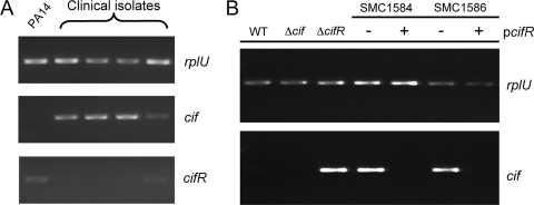 FIG. 6.