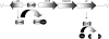 FIG. 7.
