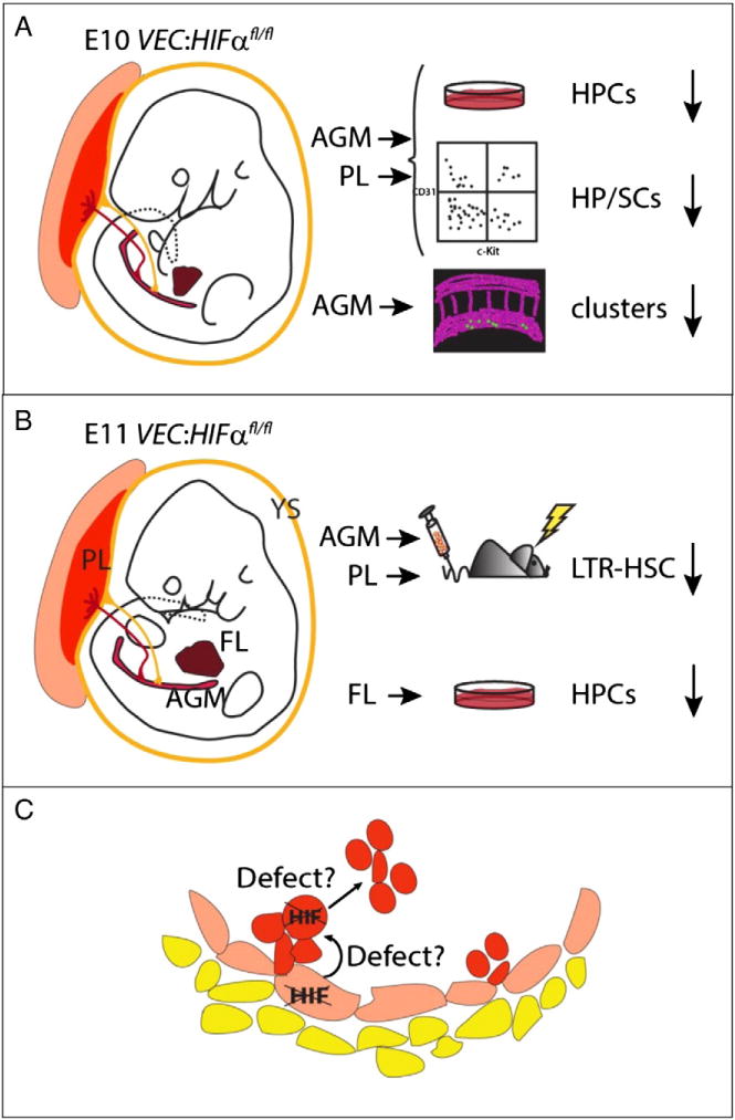 Fig.3