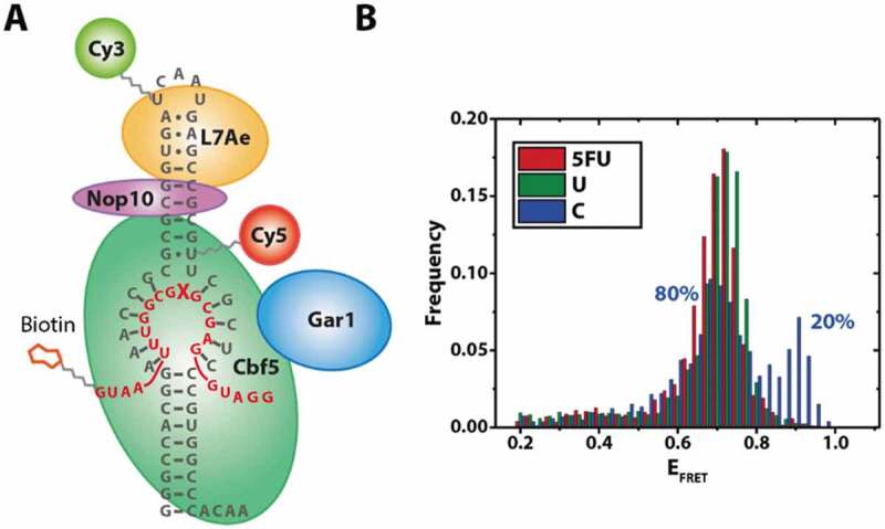 Figure 4.