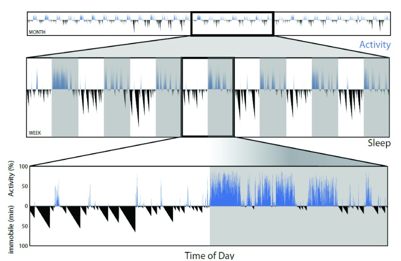 Figure 4. 