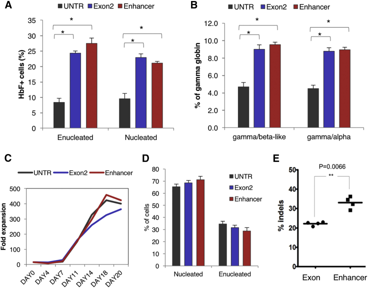 Figure 4