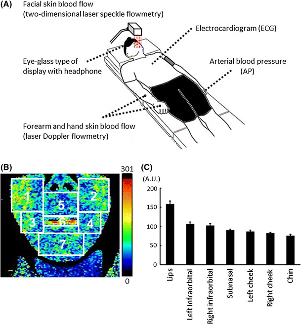 Fig. 1