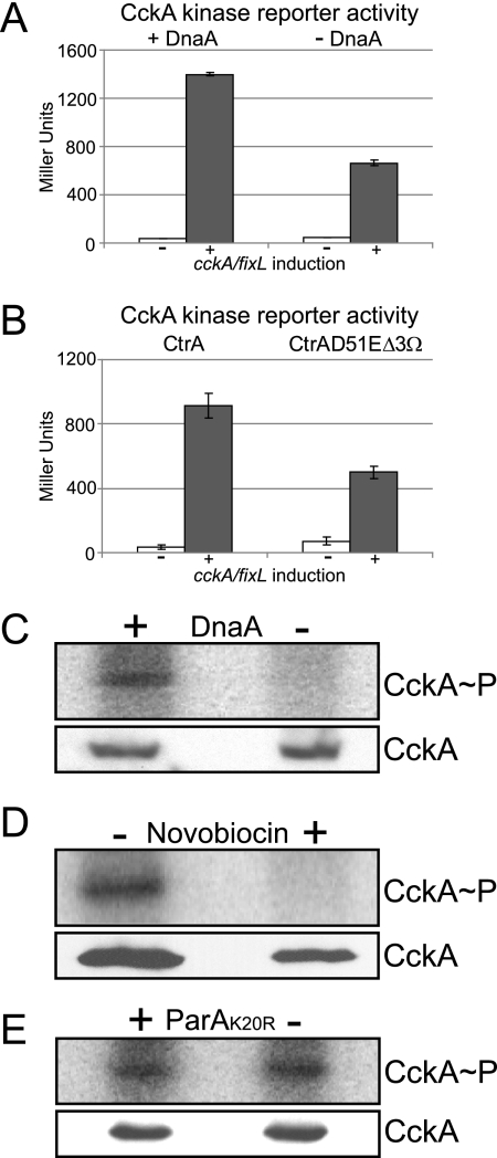 FIG. 5.