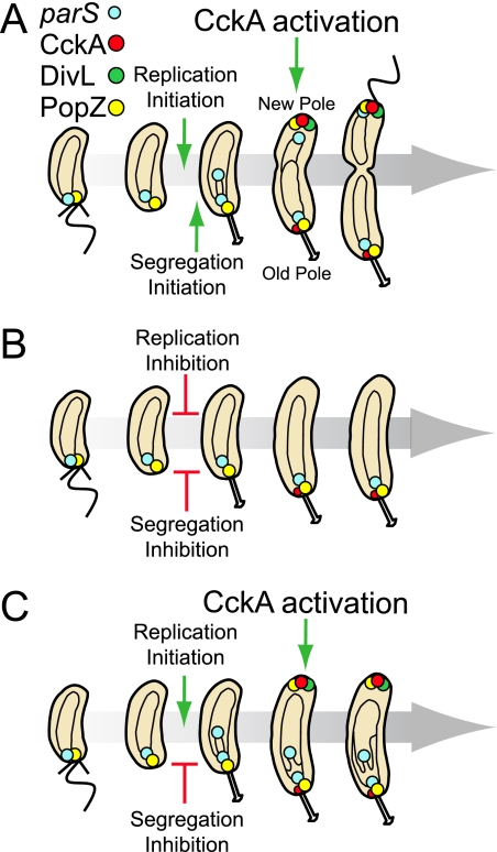 FIG. 6.