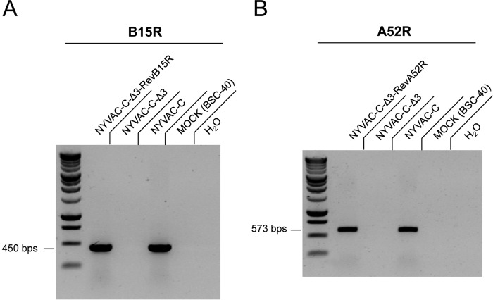 FIG 4