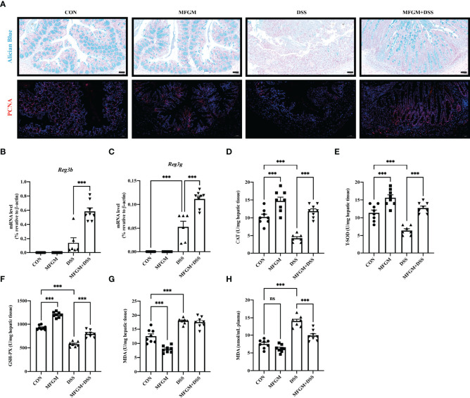 Figure 6