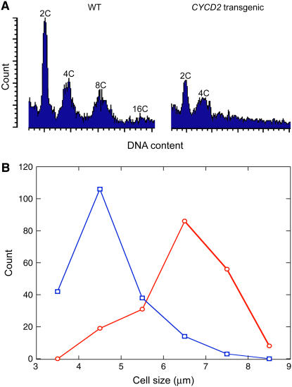 Figure 4.