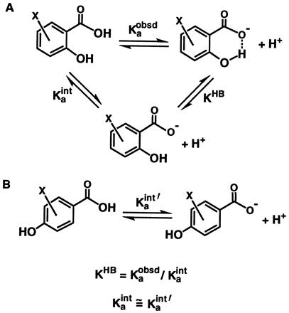 Scheme II