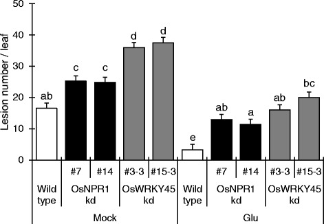 Fig 7