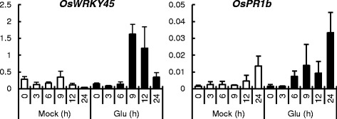 Fig 4